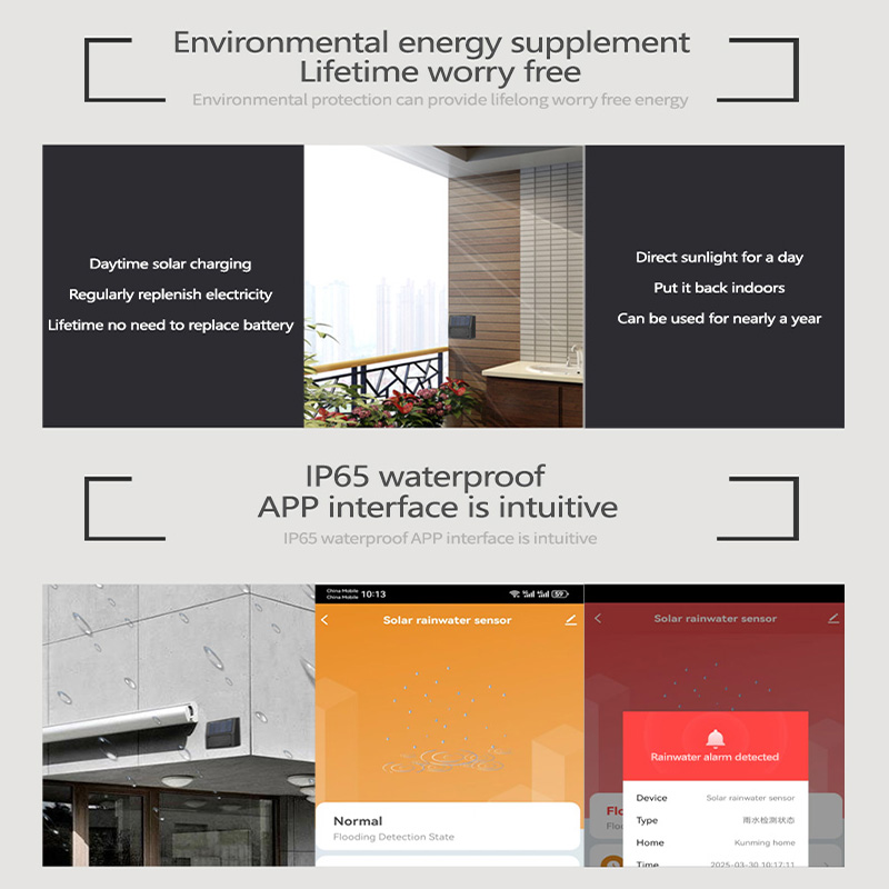 Tuya Zigbee Rain Sensor Real-T - Home Automation Tutorial 评论和价格