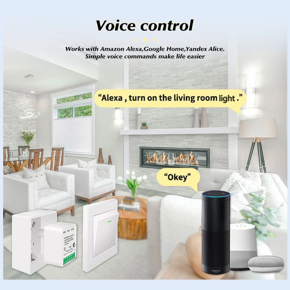 For Tuya Mini Smart WiFi Switc - Home Automation Diy 评论和价格