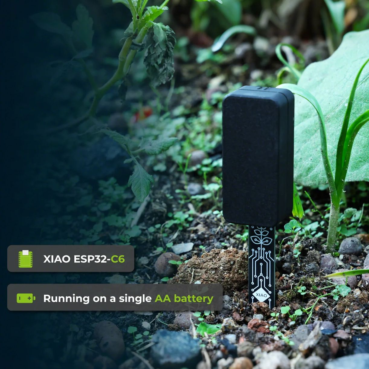 XIAO ESP32 C6 Soil Moisture Se - Home Automation Tutorial 评论和价格